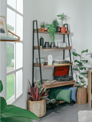 Tips Segarkan Ruang Kerja Selama WFH dengan Tanaman